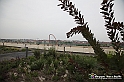 VBS_9630 - Parco Pensile Lingotto